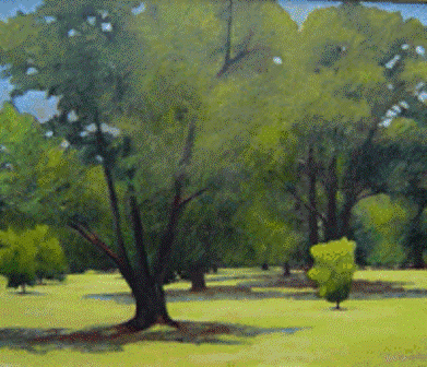 Arboretum Shade