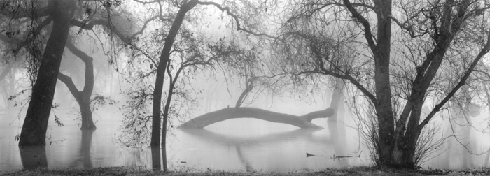 River's Edge