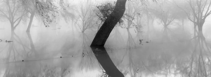 Liquified Light