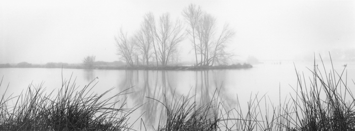 Kings Slough