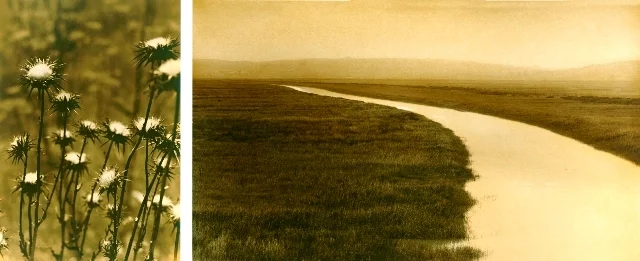 Skagg's Island