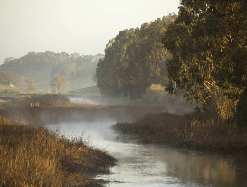 Novato Wetlands