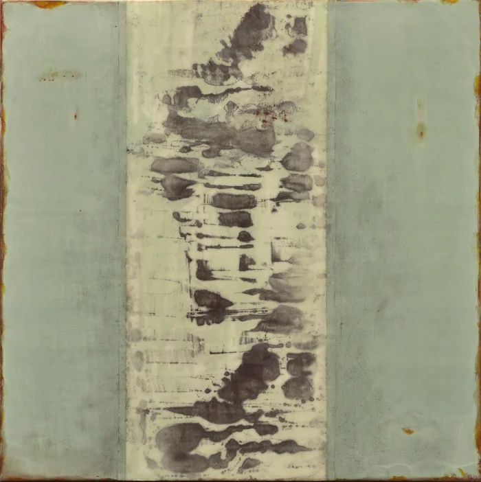 Imago 54