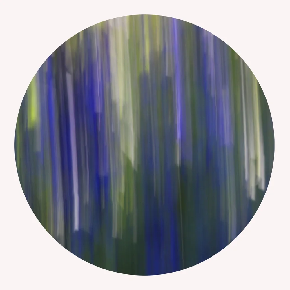 Untitled #1 (Transformations)