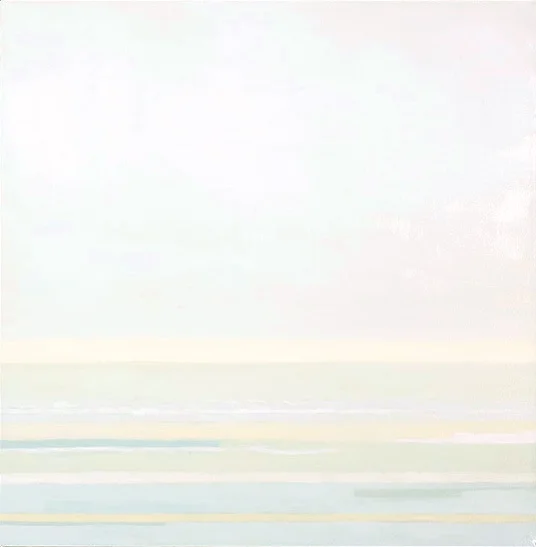 S 55