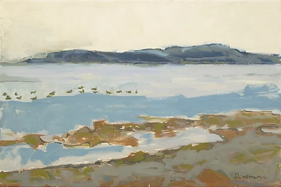 Gulls in Water Grand Manaan