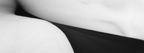 Sand Dune, Study