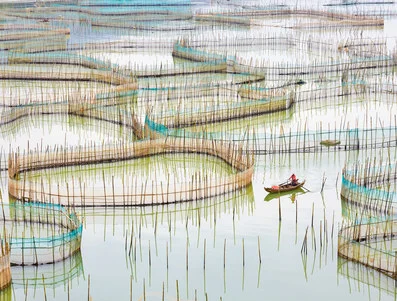 Nets I, Fujian Province, China