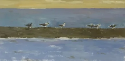 Gulls on Bar