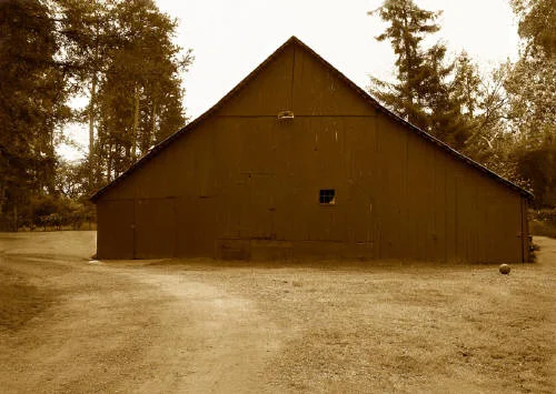Barn Near Petaluma