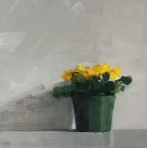 Yellow Primrose