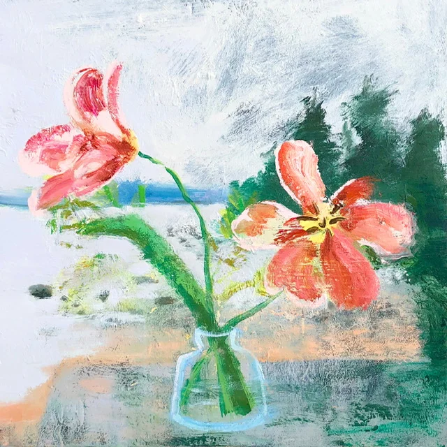 Open Tulips