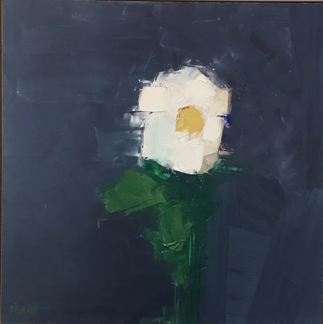 Daisy