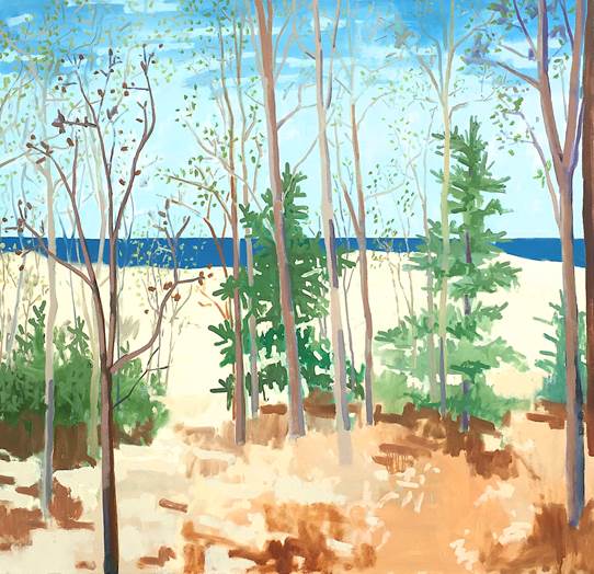 Lake Michigan Shoreline