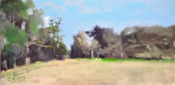 Gap in the Trees