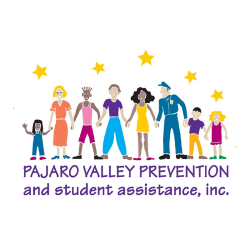 PVPSA logo.png