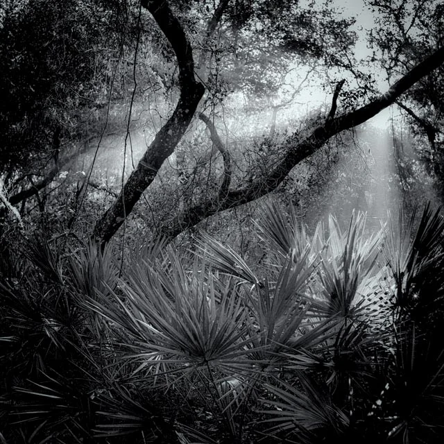 L1000285-Edit.jpg
