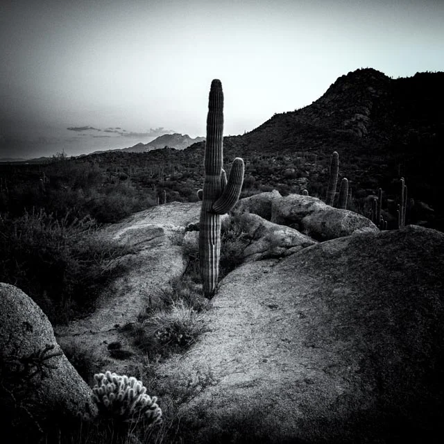 L1000143-Edit-2-Edit-Edit.jpg
