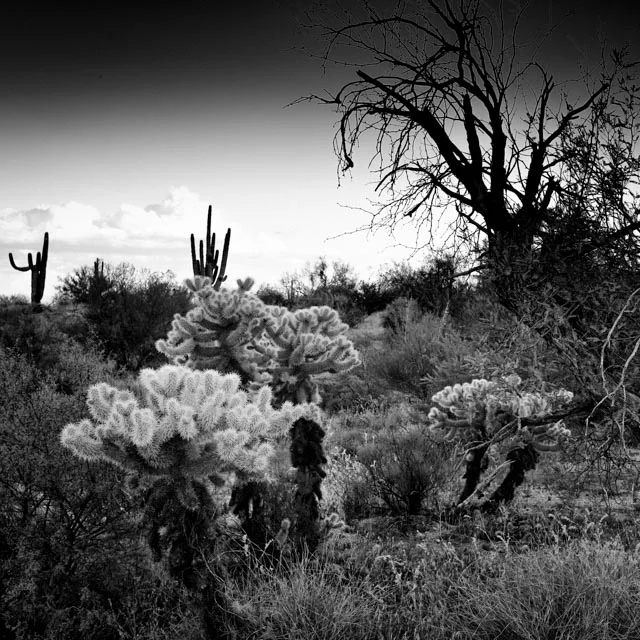 L1000107-Edit-2.jpg