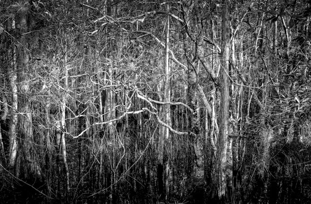L1000229-Edit-Edit.jpg