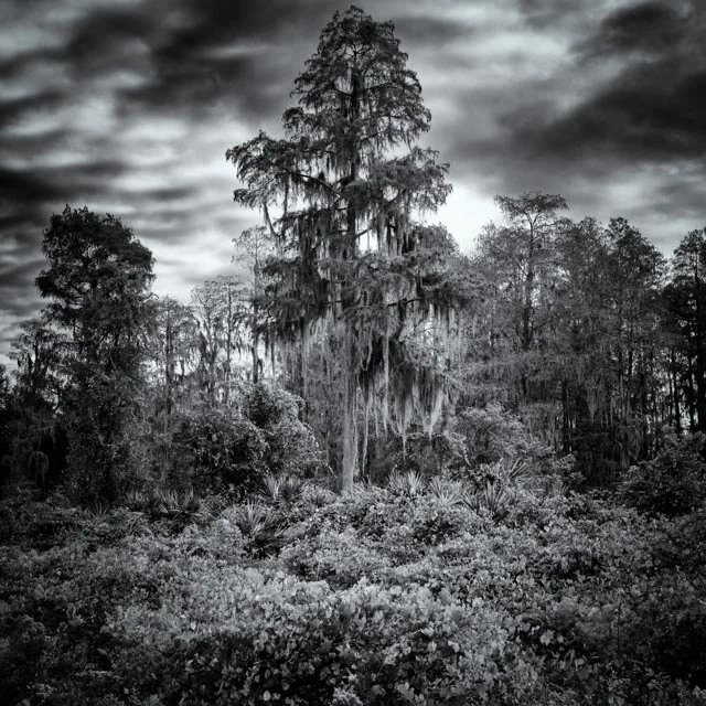 L1000348-Edit.jpg