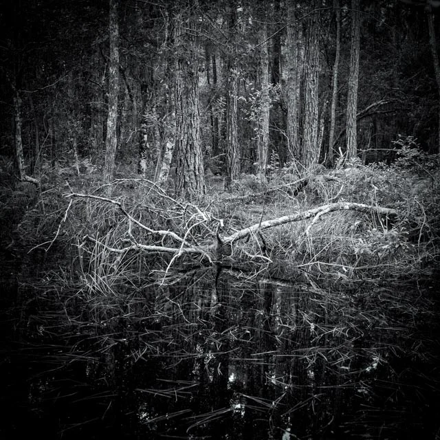 L1000296-Edit.jpg