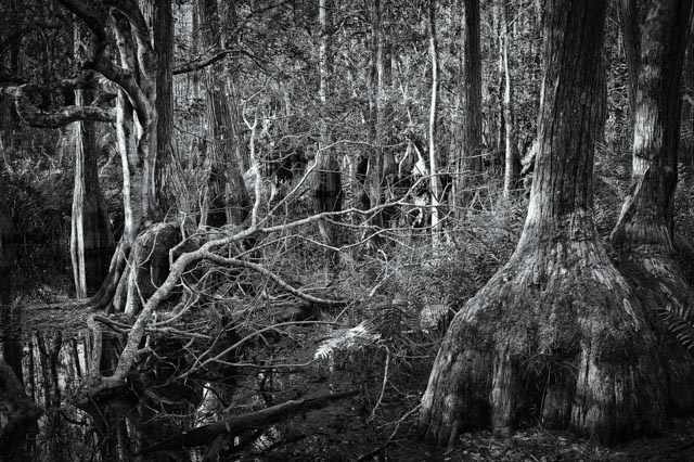 L1001132-Edit-Edit.jpg