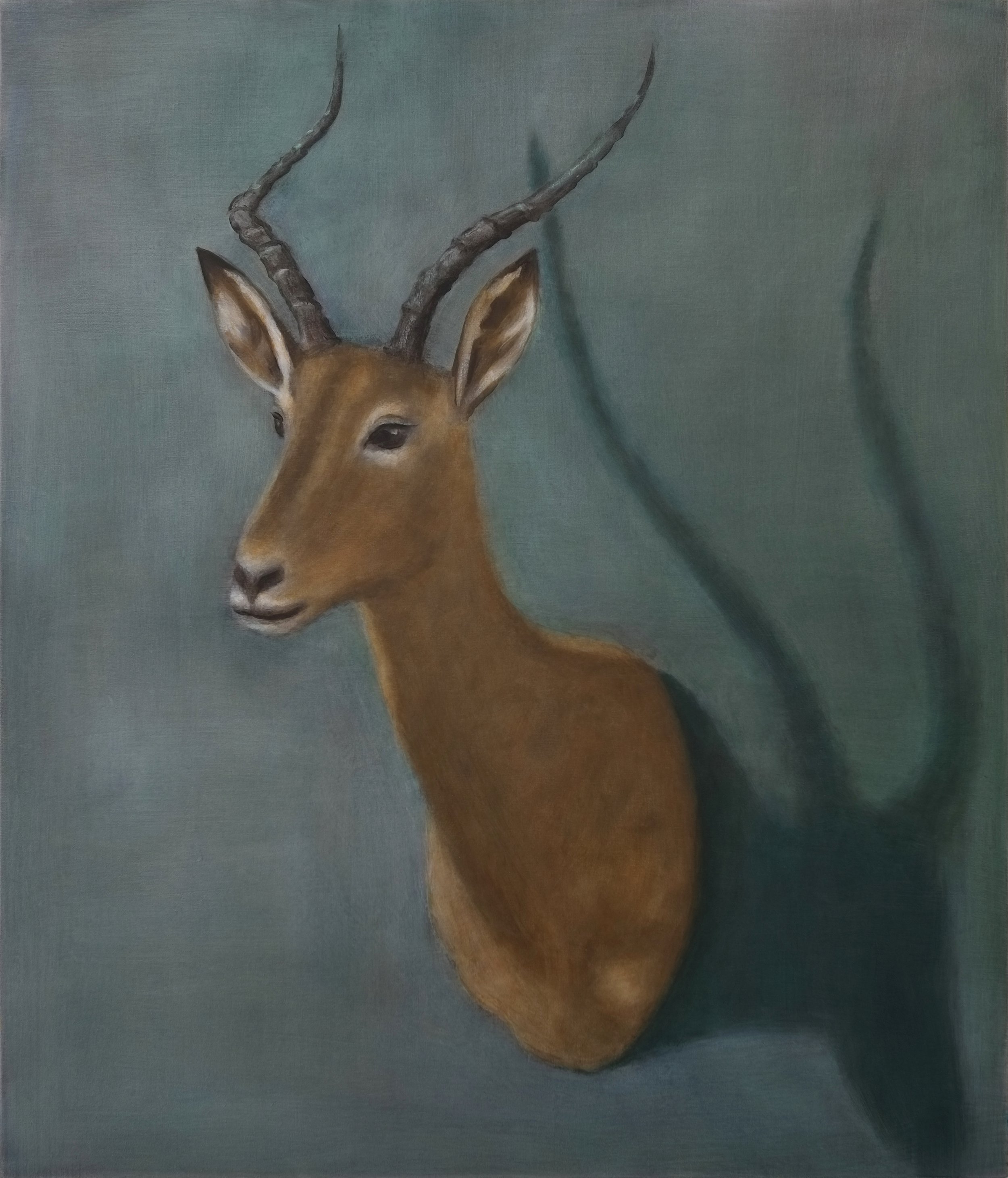   Impala   2022  45” x 40”  oil on linen 