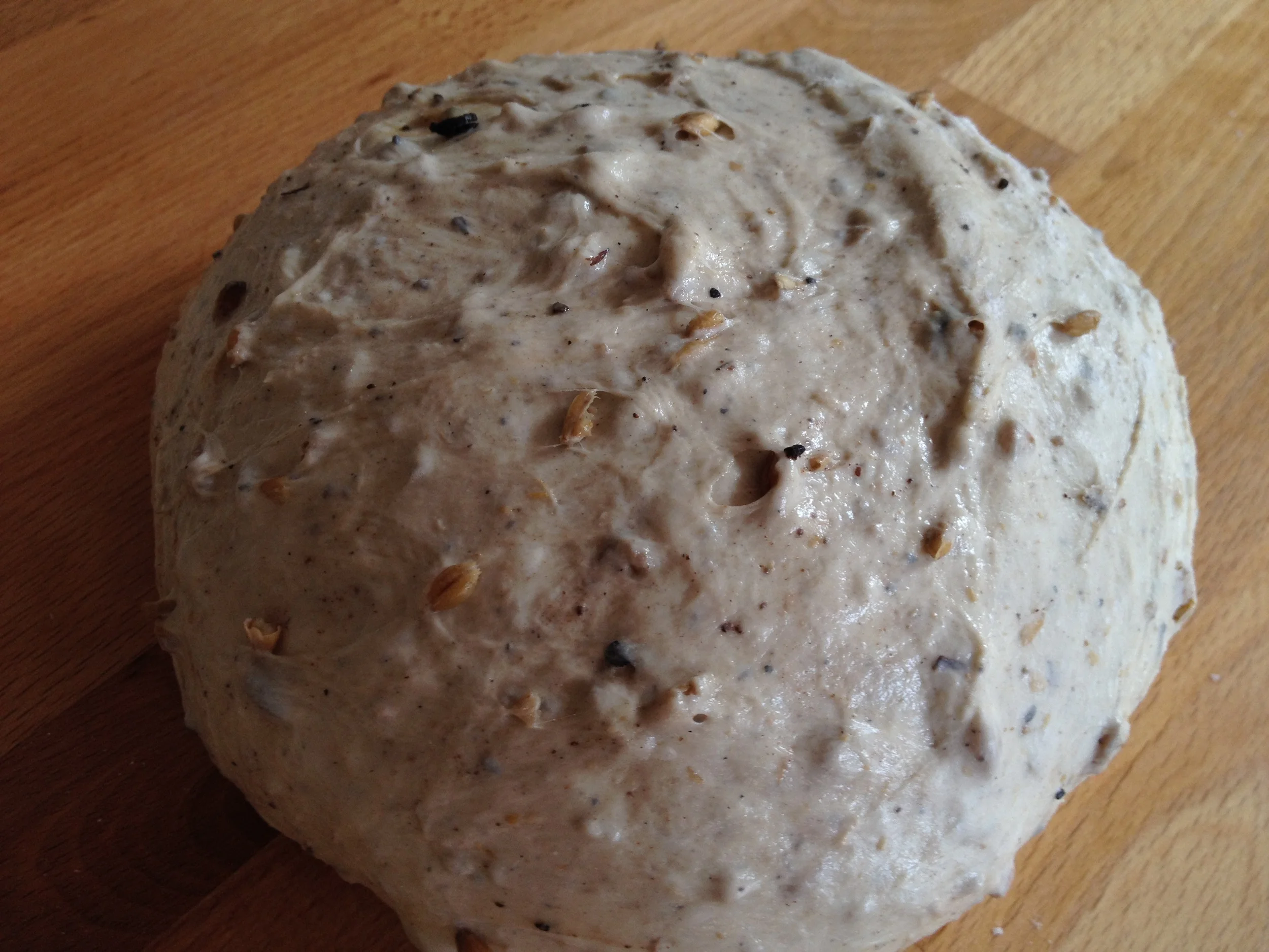 experimenting with spent beer grains