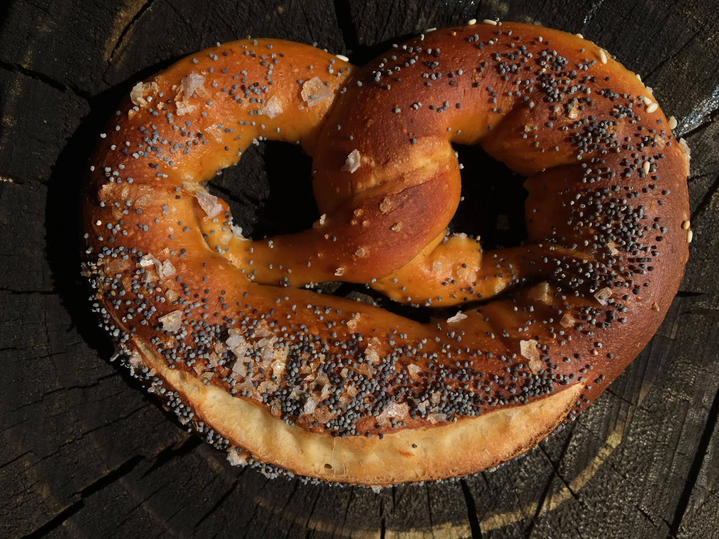 Poppy Seed Pretzel