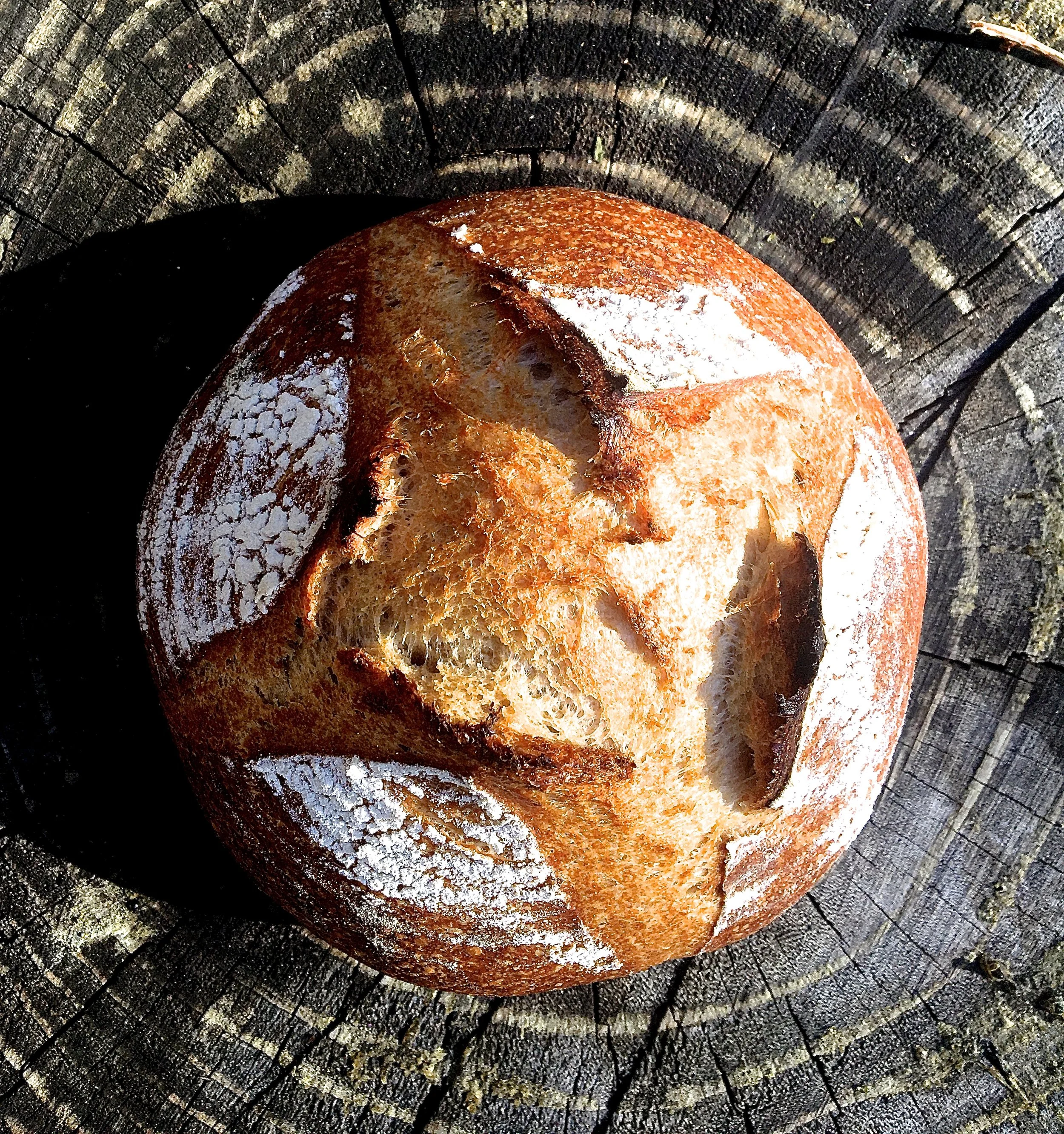 Sourdough