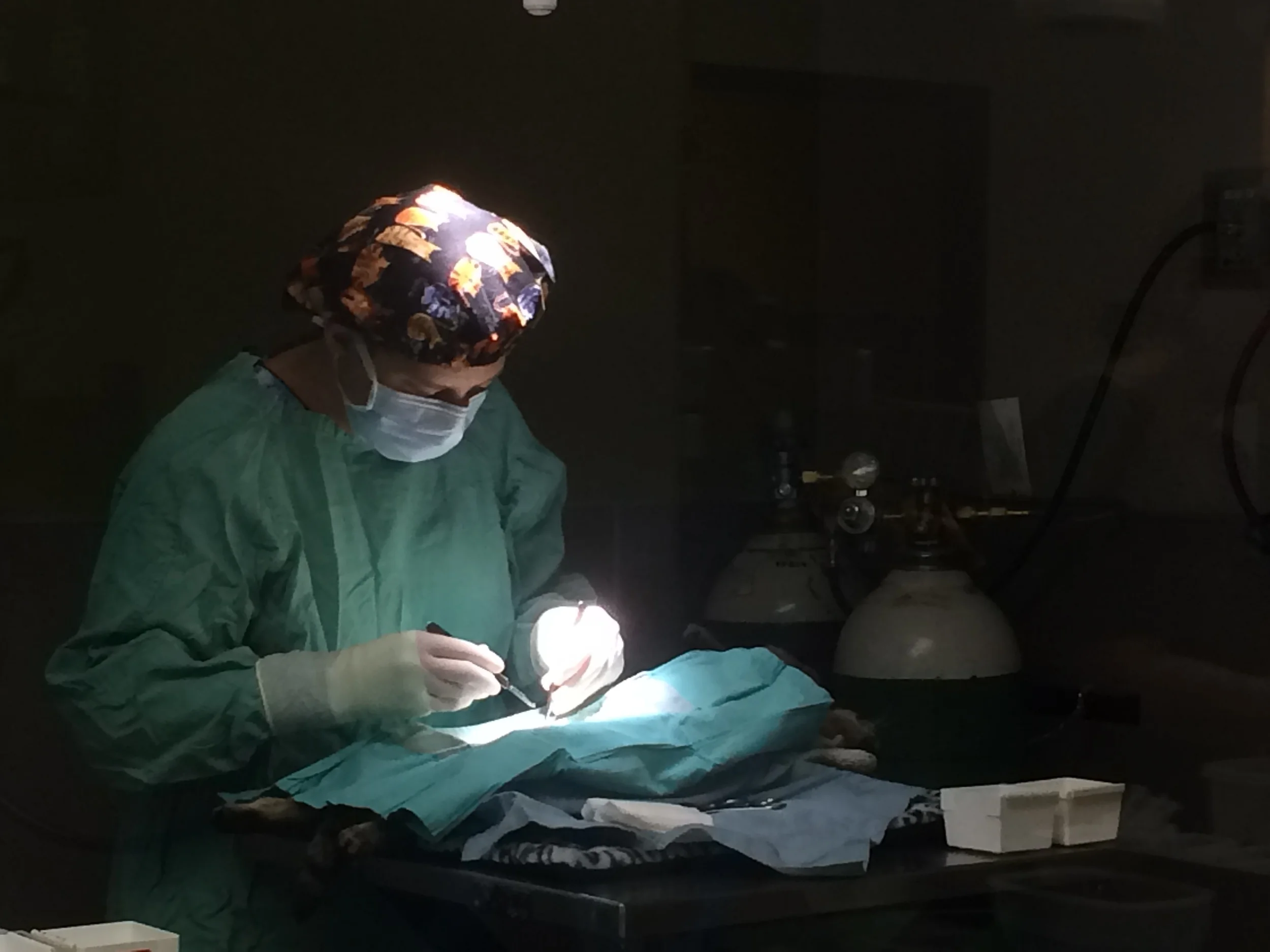 1st clinic-1st sx.JPG