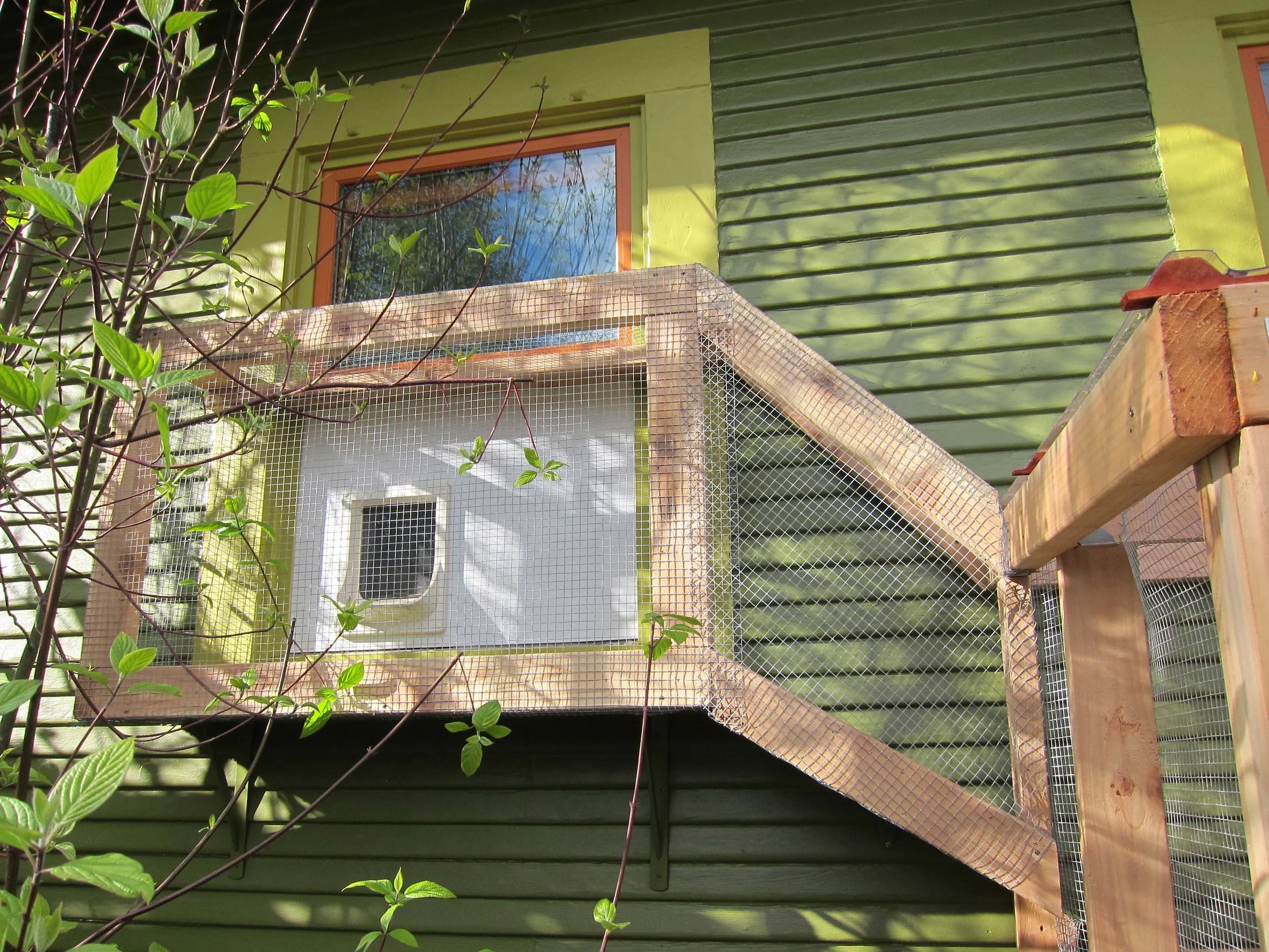 Catio-entry.jpg