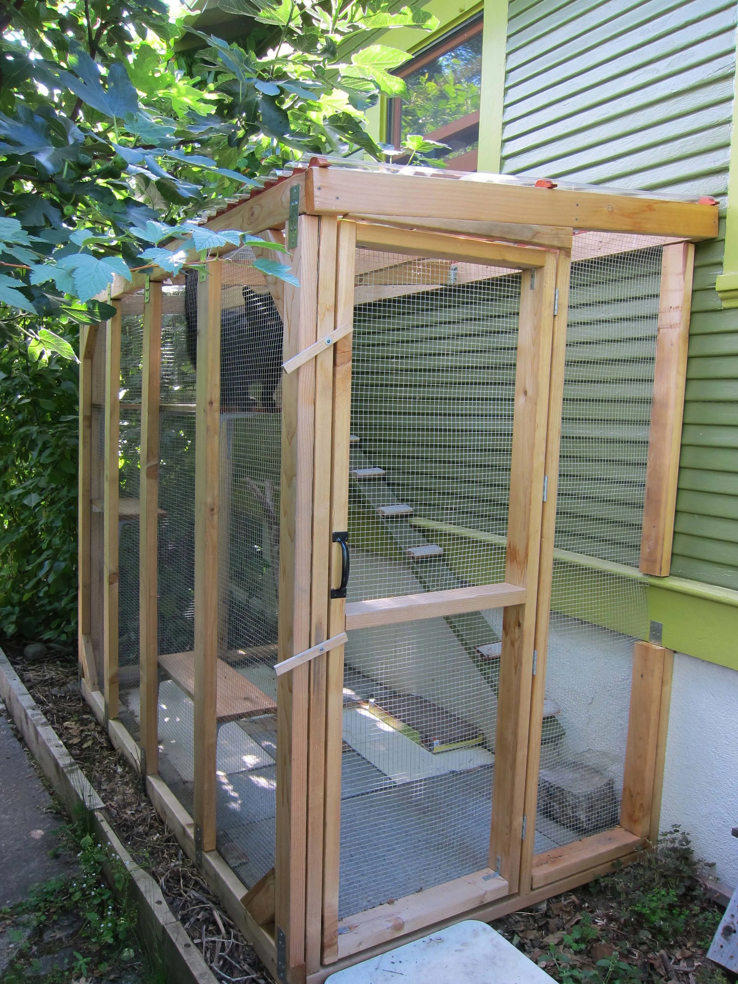 Catio-overall 2.jpg
