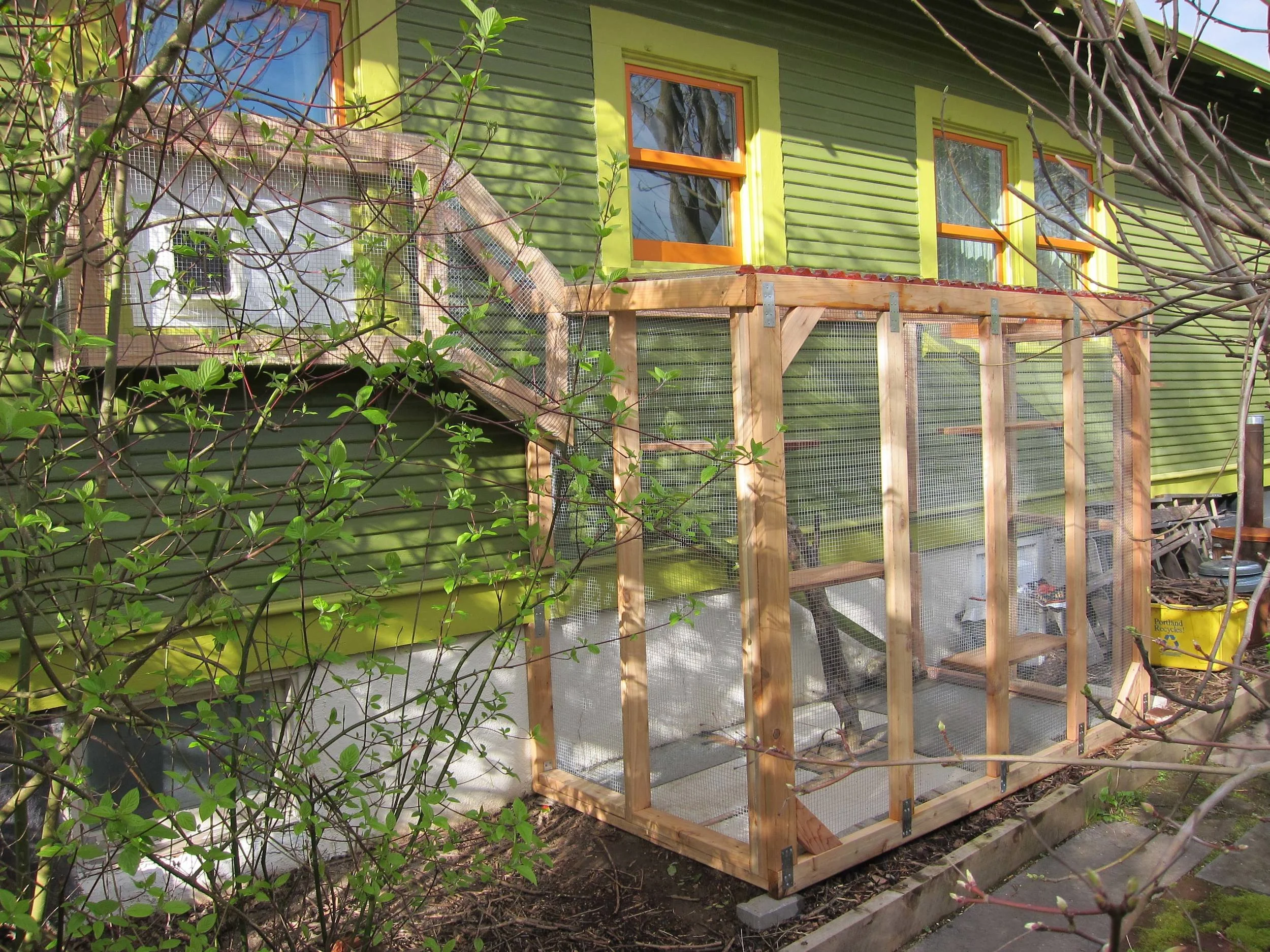 Catio-overall 1.jpg