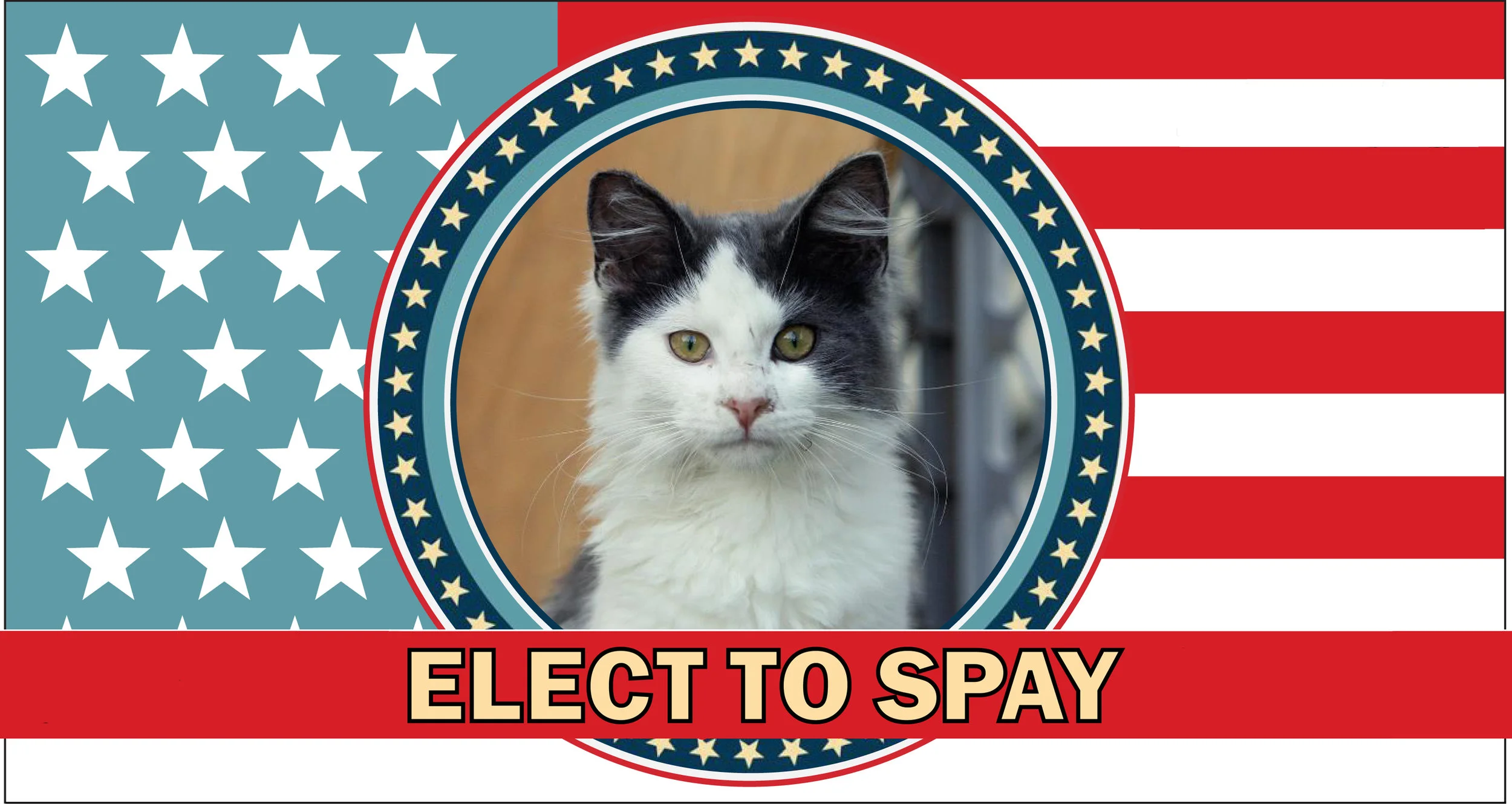 ElectToSpay.jpg