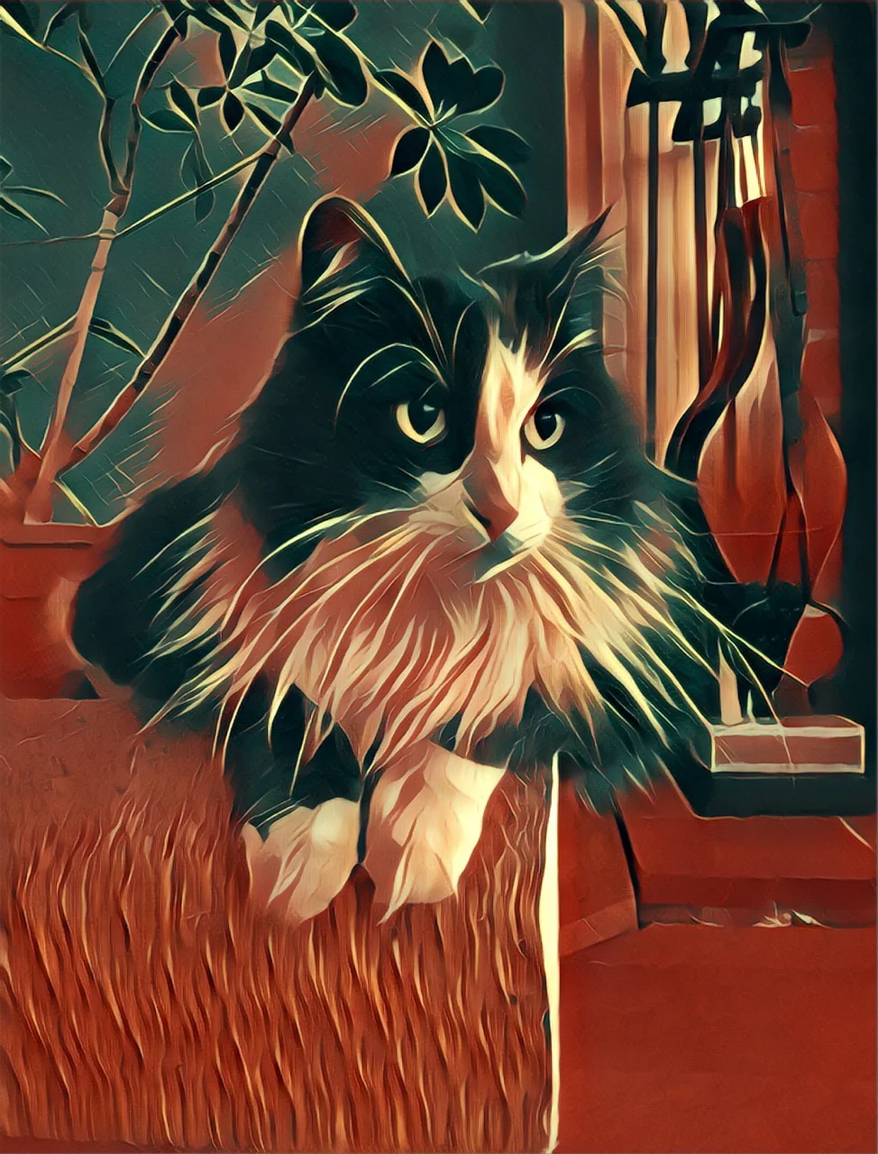 gizmo.jpg