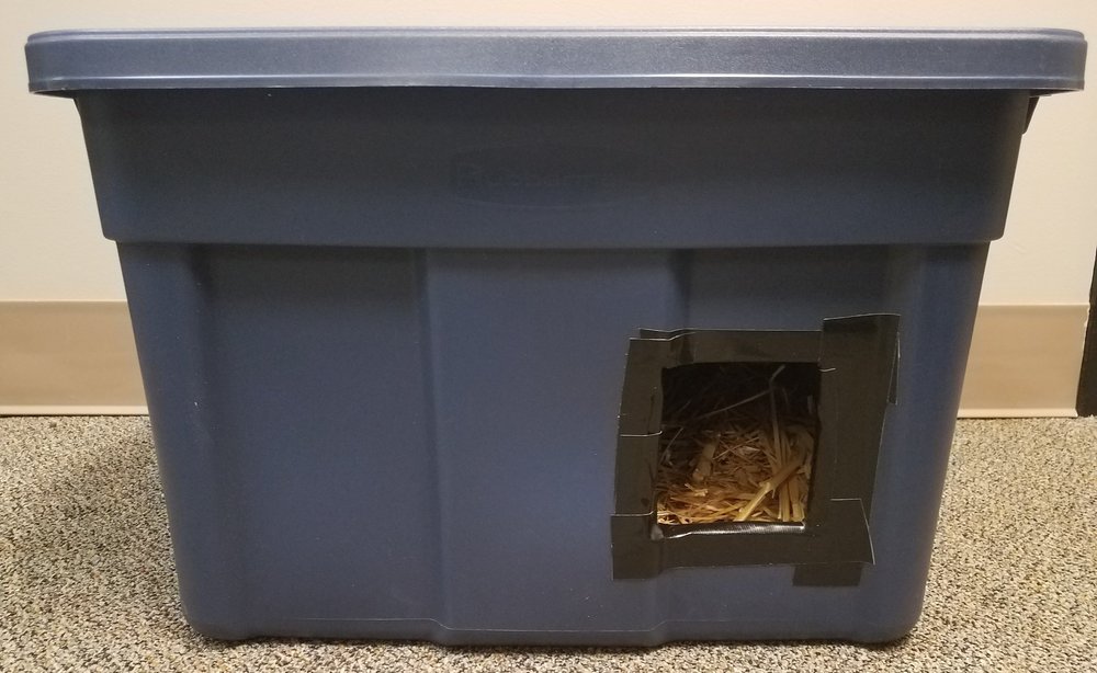 Easy Outdoor Shelter Feral Cat Coalition Of Oregon - Diy Insulated Feral Cat Shelter