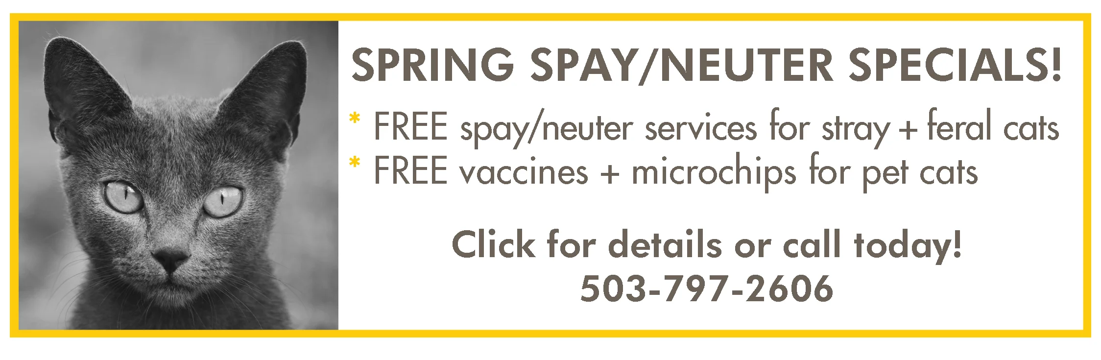 spring2018-email-signature.jpg
