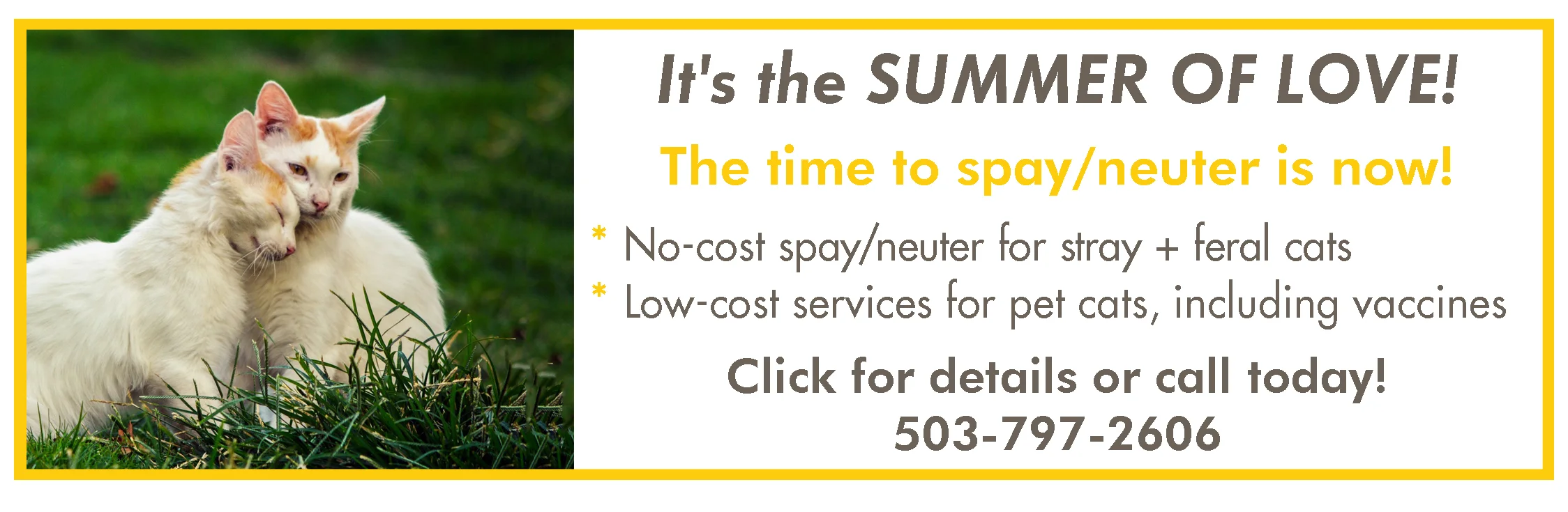 summer_2018-email_signature.jpg