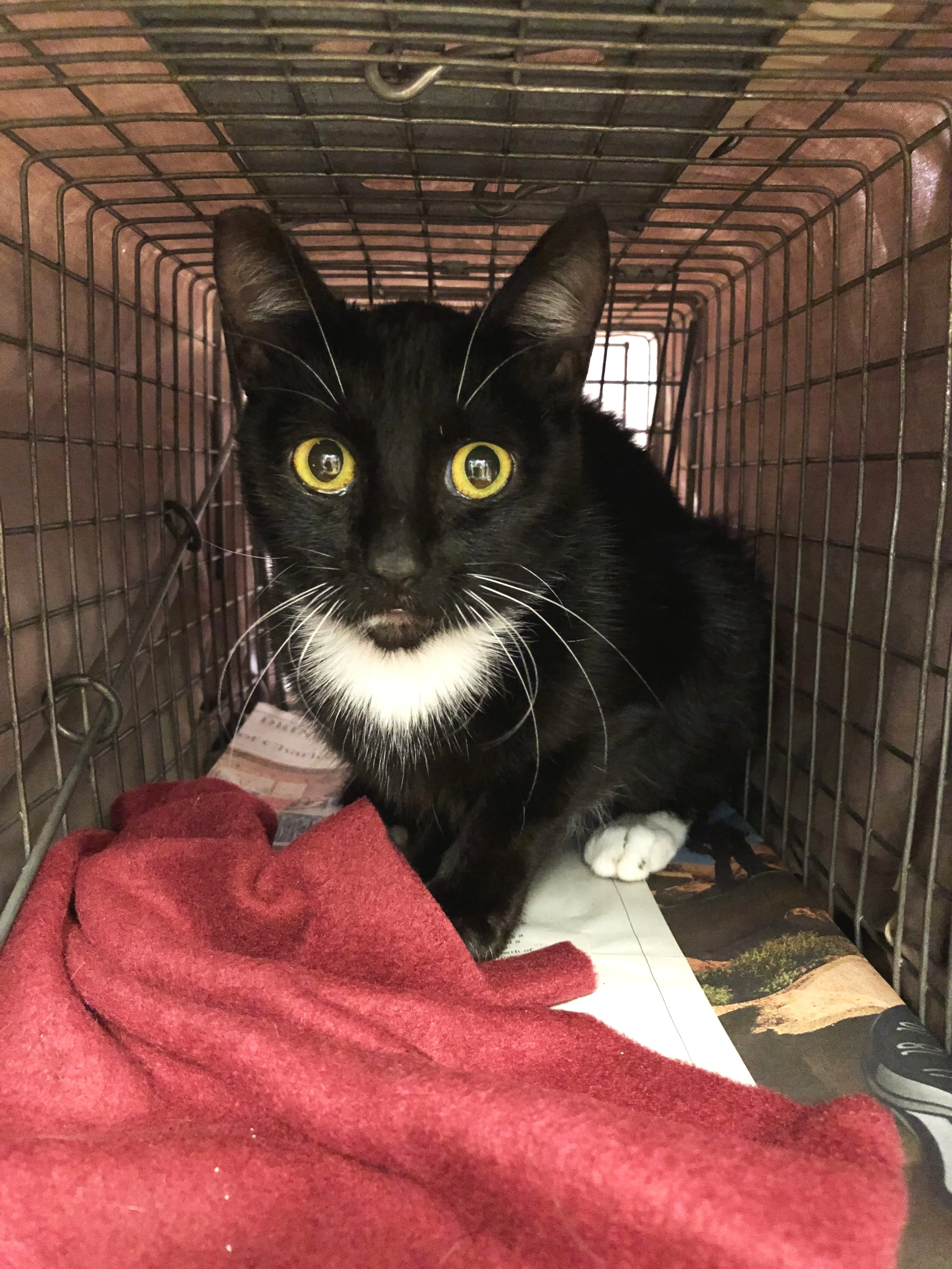 arthur9-26-19.jpg