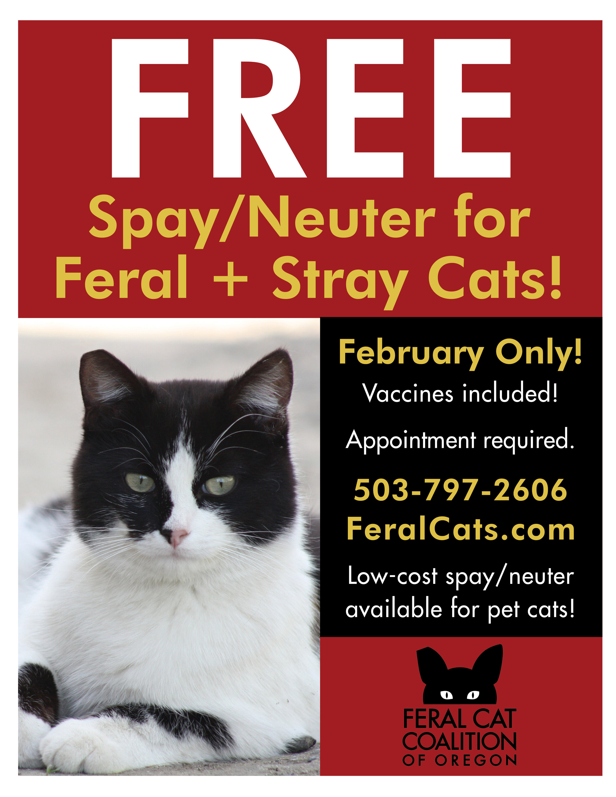 Spay/Neuter Special — Feral Cat Coalition of Oregon