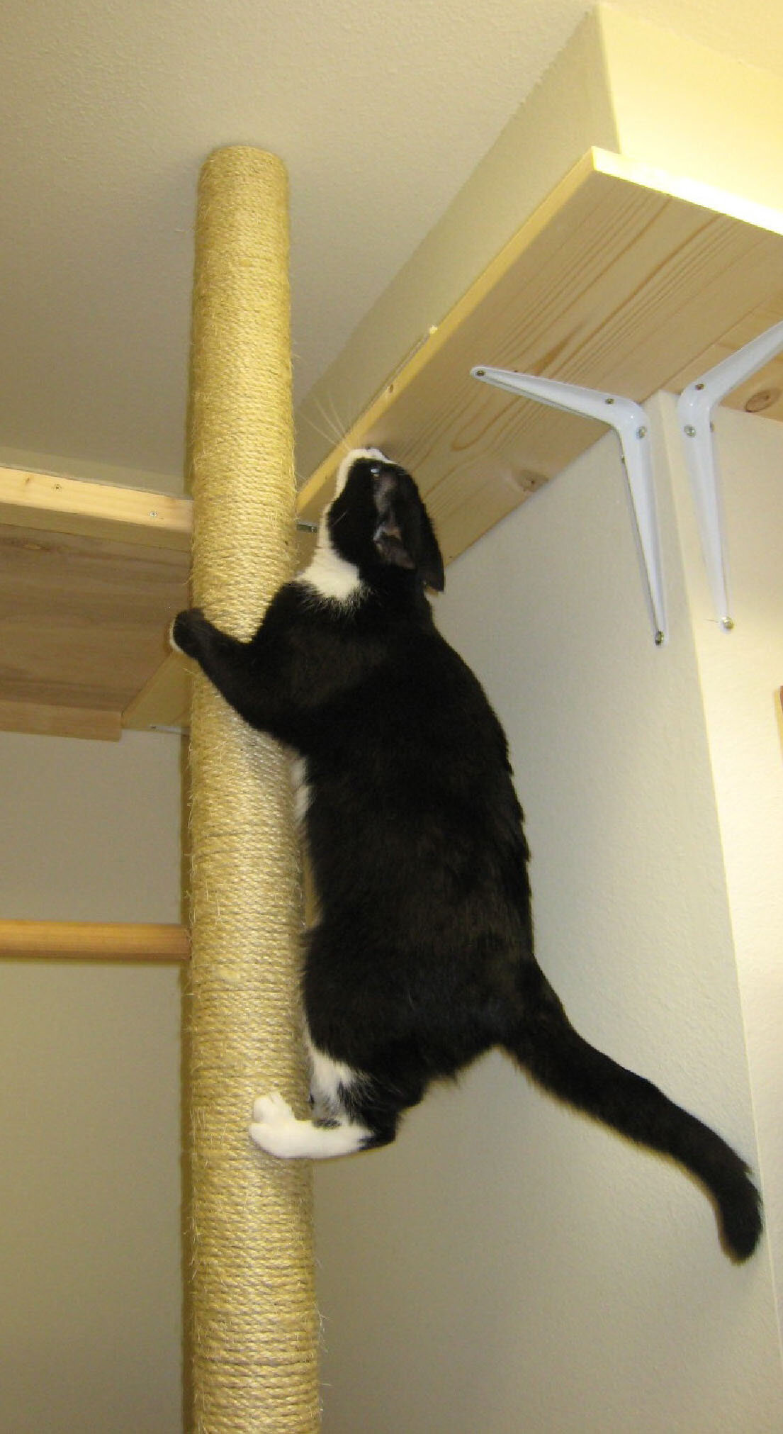pinterest climbing2.jpg