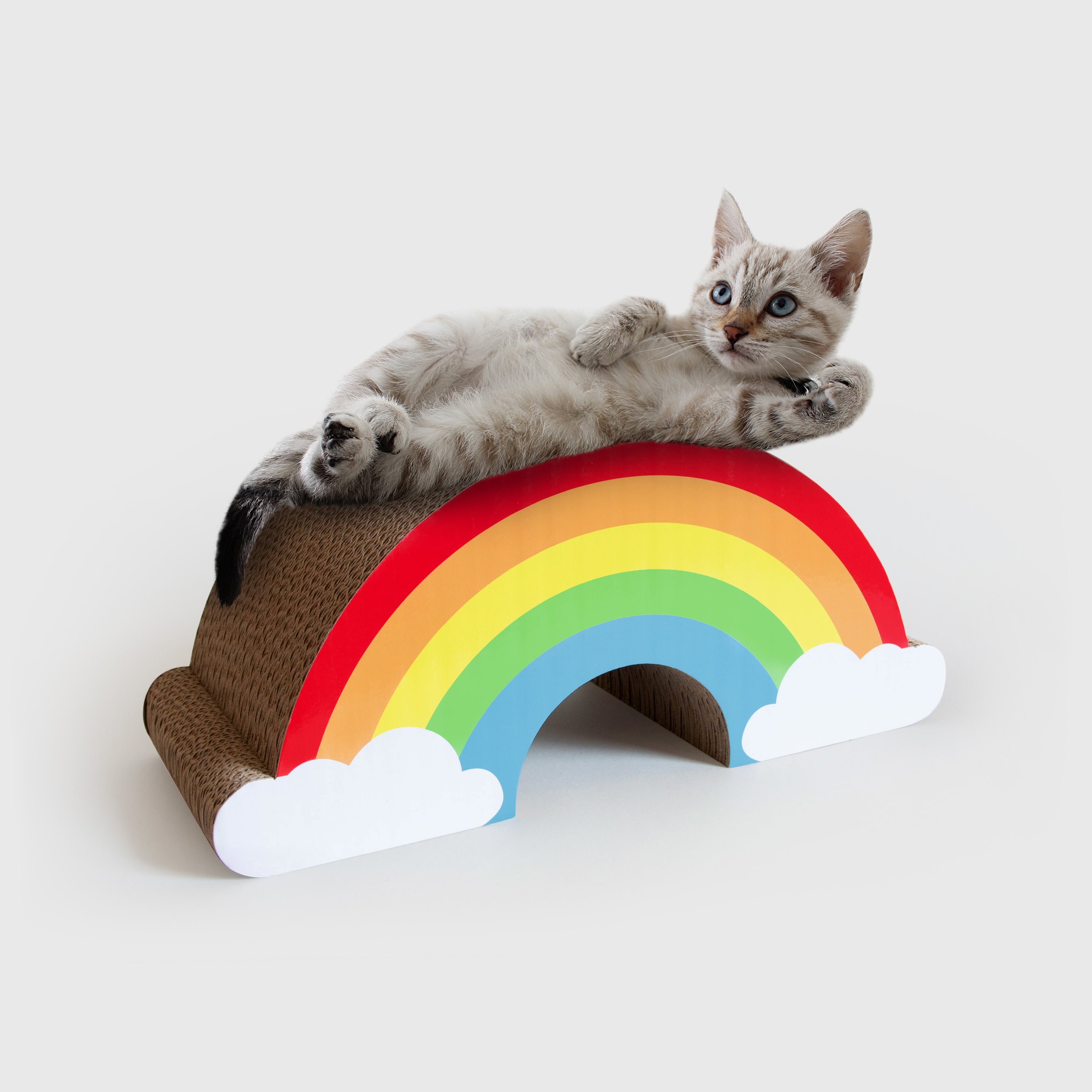 bidcats-rainbow-scratcher.jpg