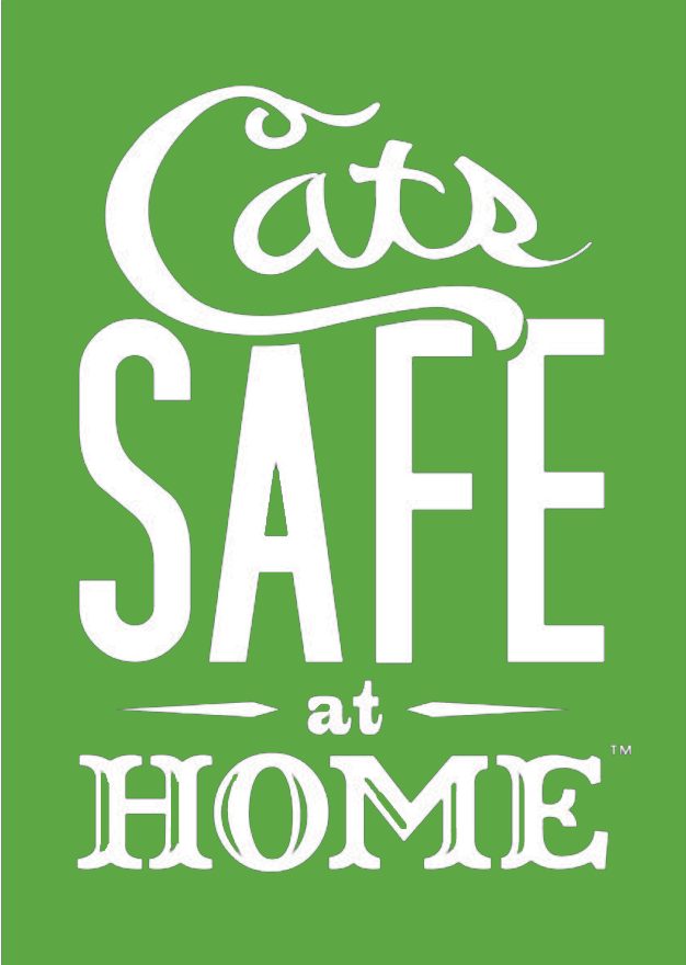 CSAH Logo Green.png