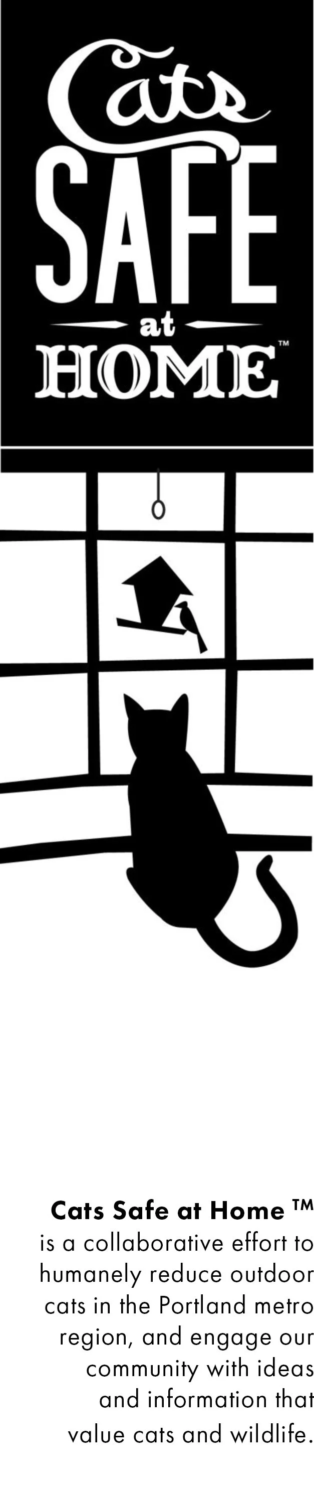 Letterhead-graphic2.jpg