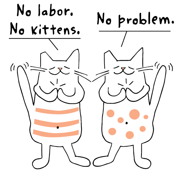 no+labor+no+kittens.webp