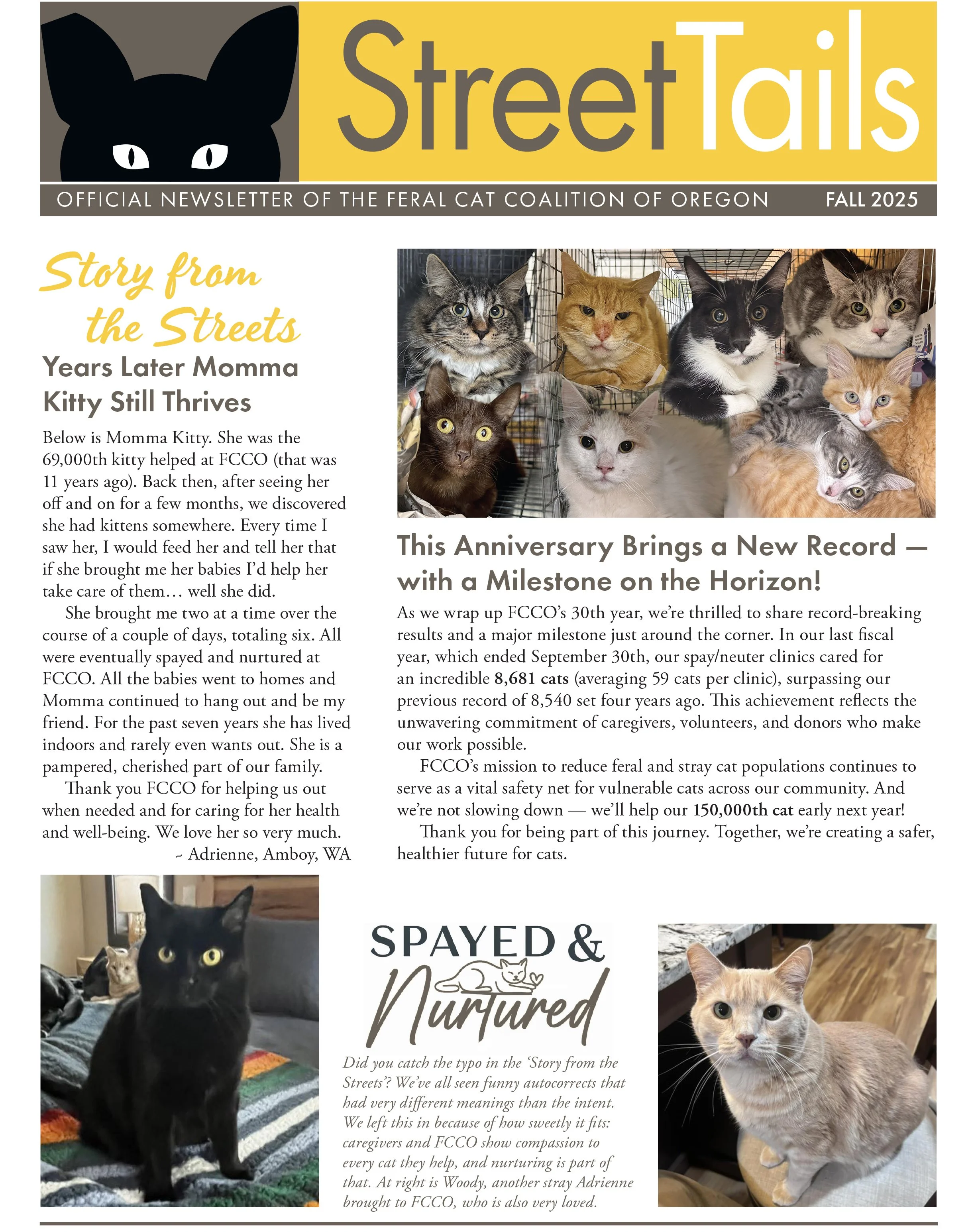 Street Tails Newsletter - Fall 2025