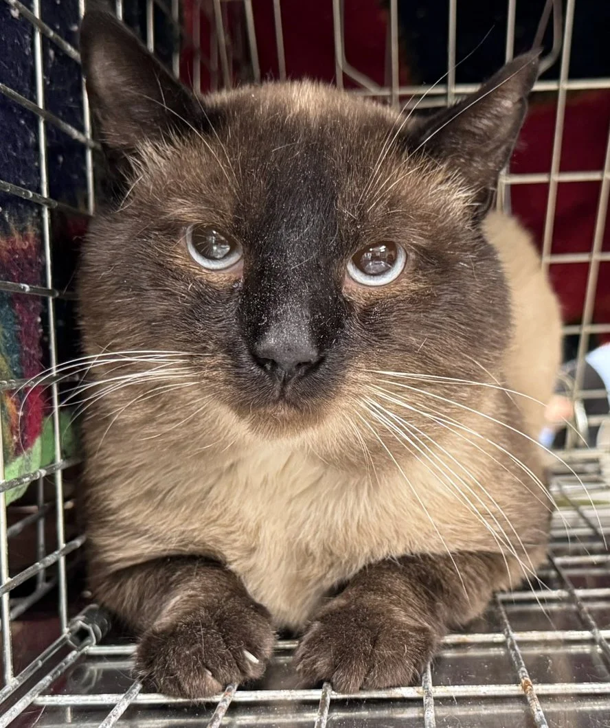 10-15-25 2 turner.JPEG