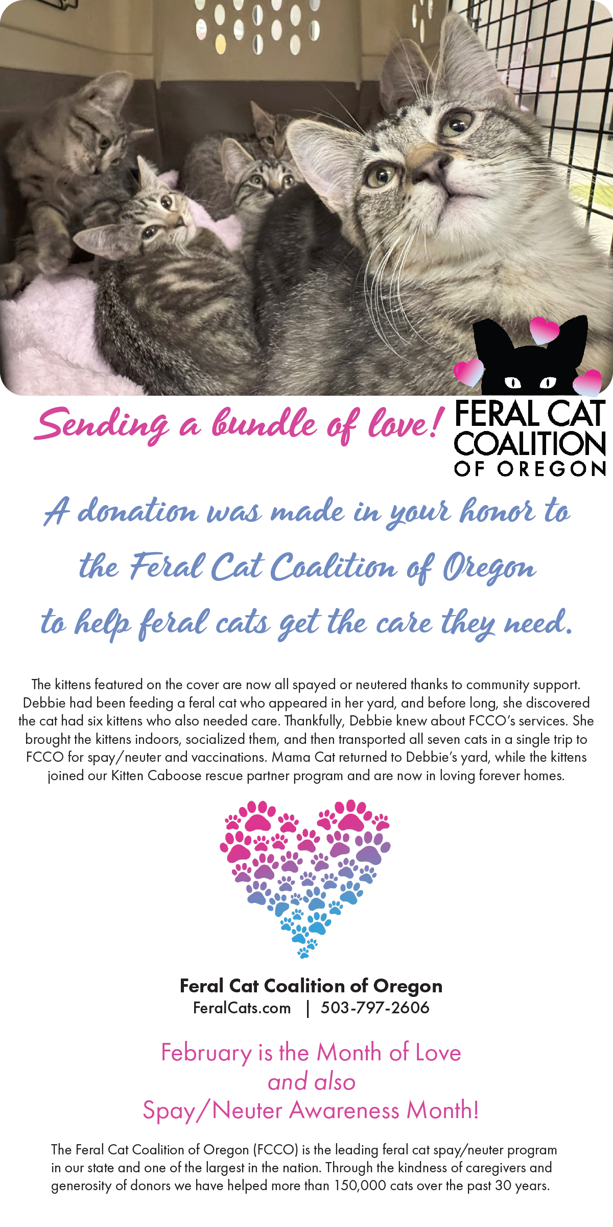 Email banner 2026.png